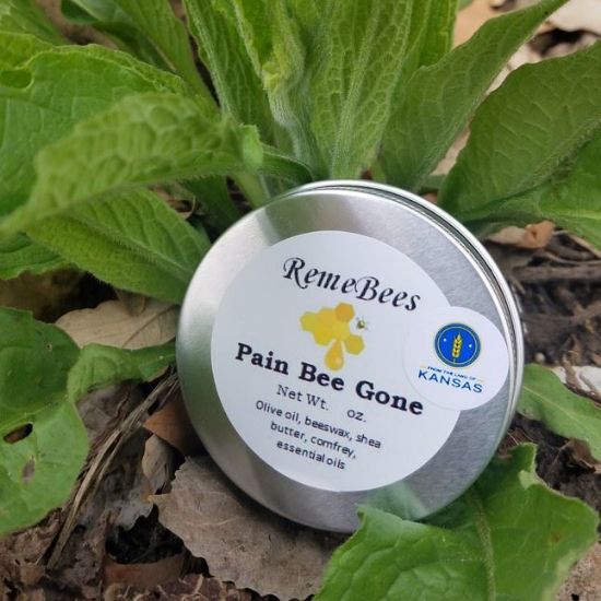 Pain Bee Gone salve 2.0 oz