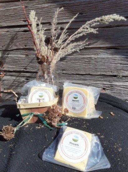 The Havarti Basket