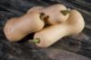 Autumn Prairie Pumpkins Waltham Butternut Squash Seeds