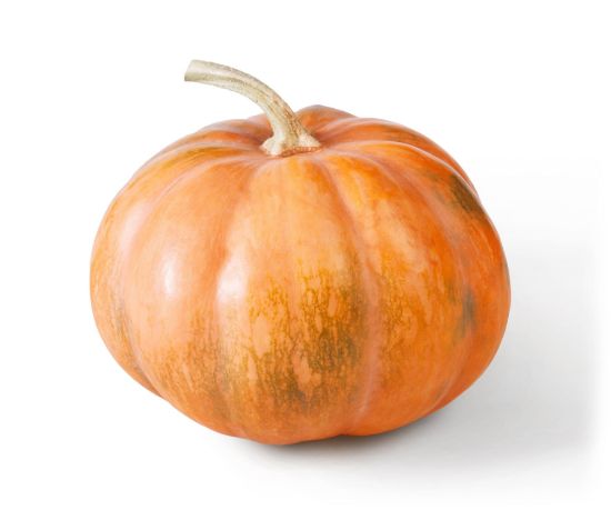 Autumn Prairie Pumpkins New England Chedder F1 Pumpkin